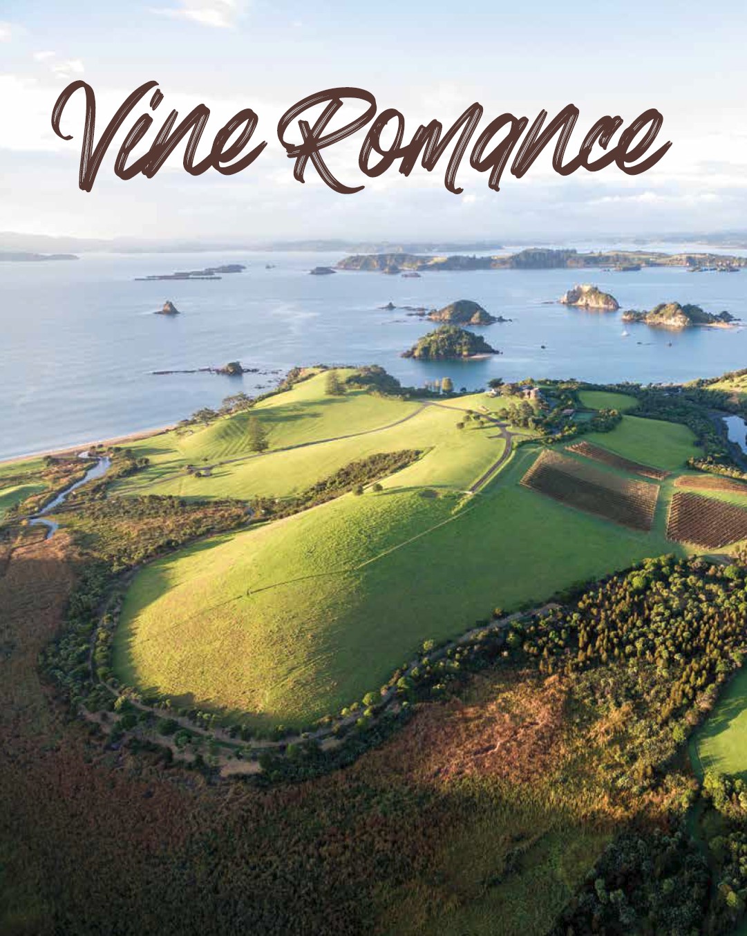 Vine Romance cover