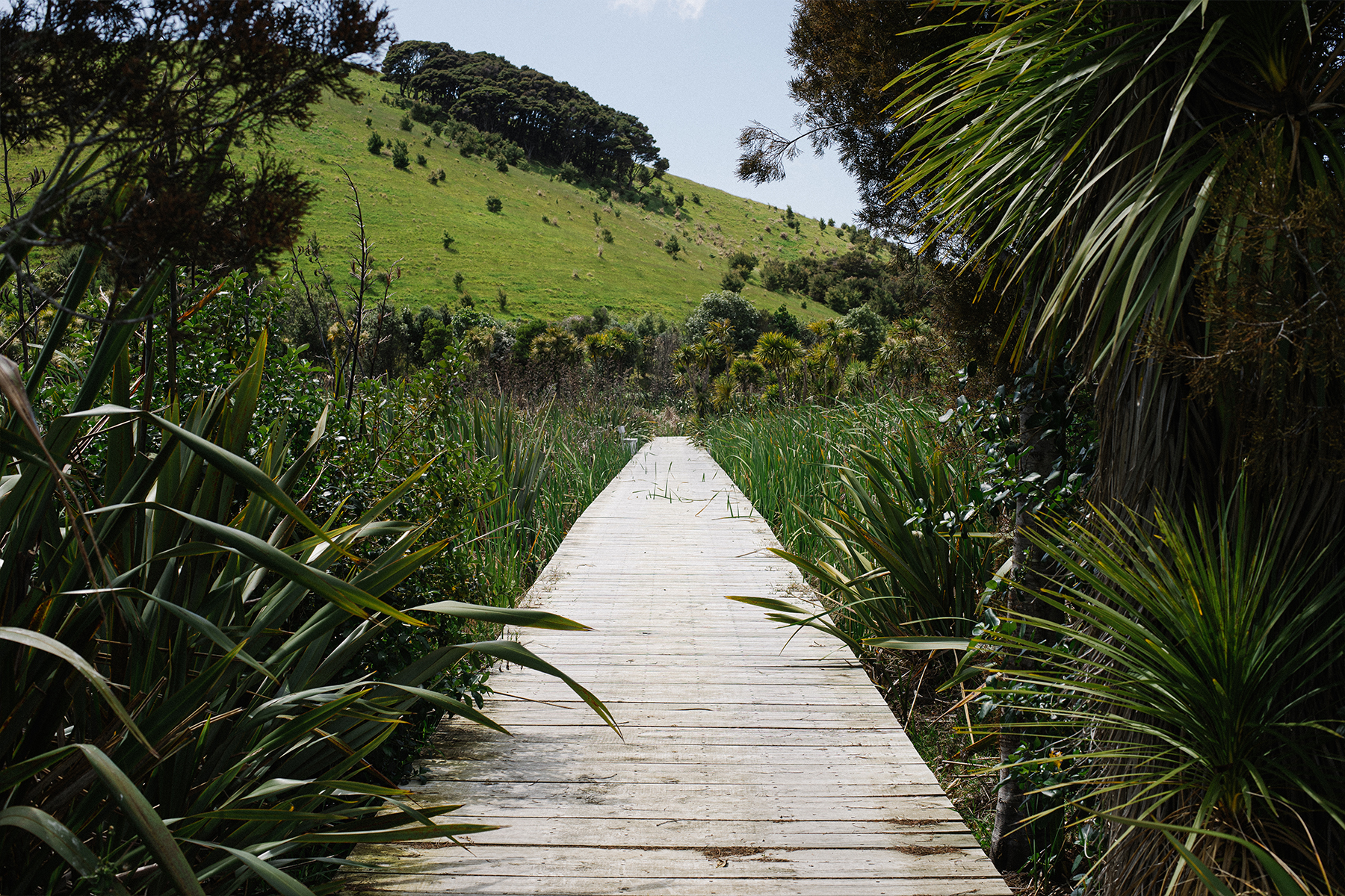 Vineyard Villa boardwalk across wetlands with bush and hills