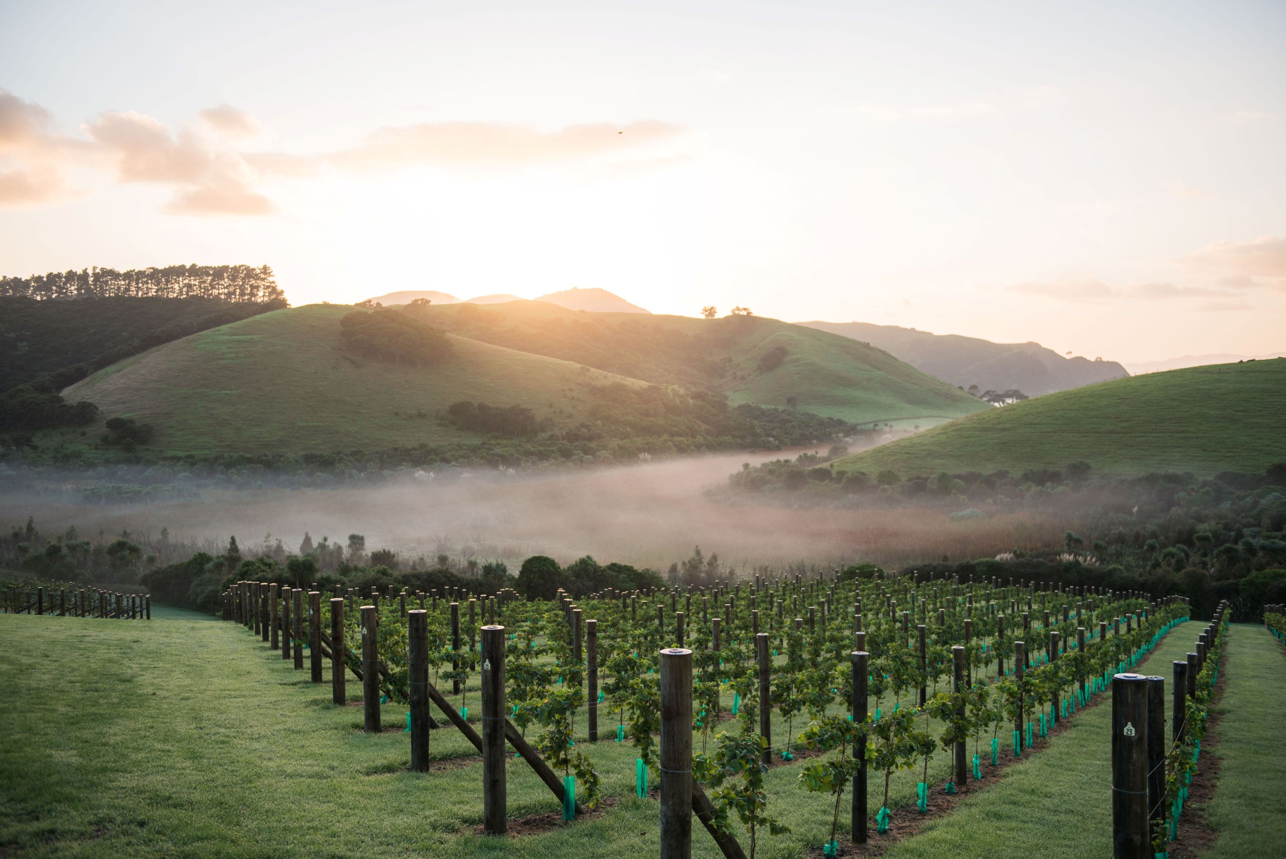 50 Best Wine Hotels in New Zealand – Club Oenologique