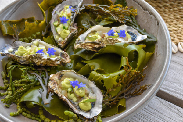 Food and Wine Banner LR