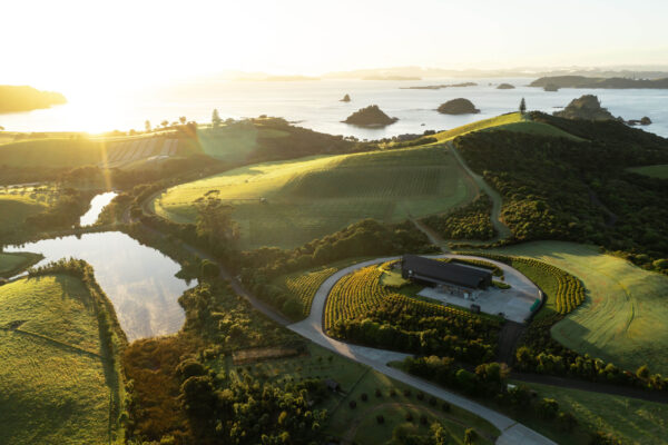 The Vineyard Story LR