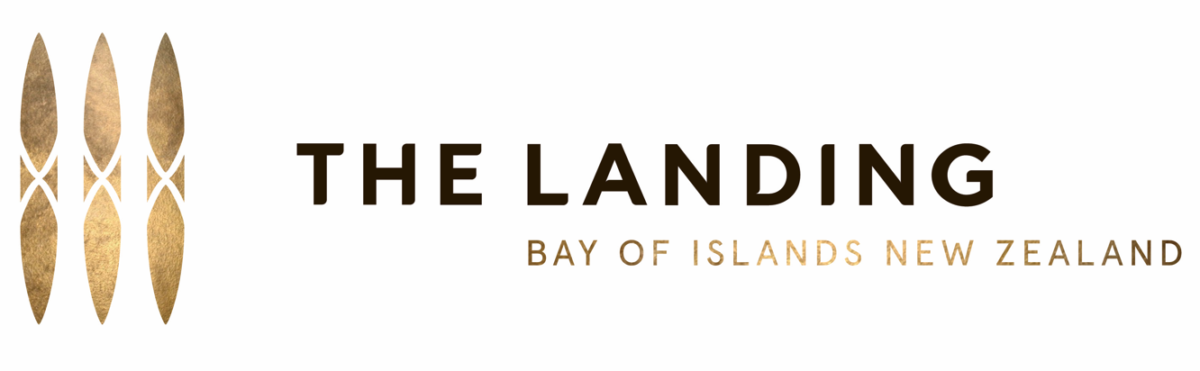 The Landing